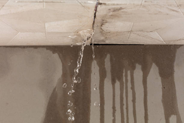 Professional Structural Drying technician working in Remington, IN